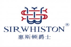 Sirwhiston访谈:绩效考核指标多样化,综合能力指标占15%