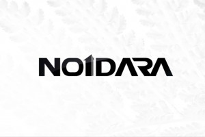 NO1DARA访谈:优秀的管理者要学会解放双手